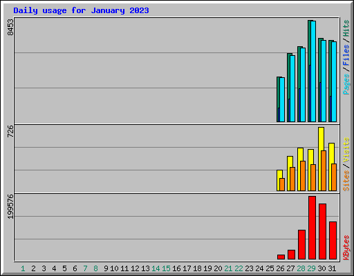 Daily usage for January 2023