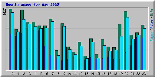 Hourly usage for May 2025
